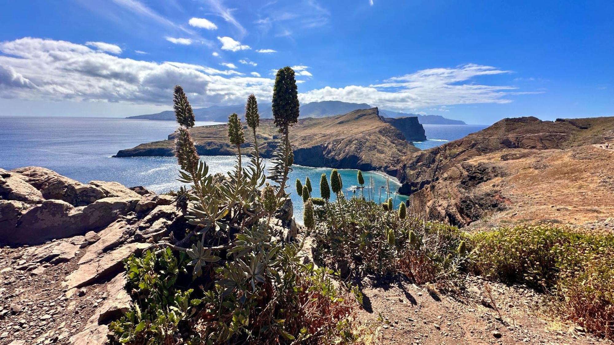 Getaway To Blue Paradise At Madeira Island Фуншал Экстерьер фото